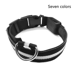 Nylon LED Pet Dog Luminous Collar - FittyPets
