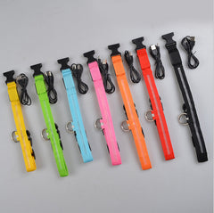 Nylon LED Pet Dog Luminous Collar - FittyPets