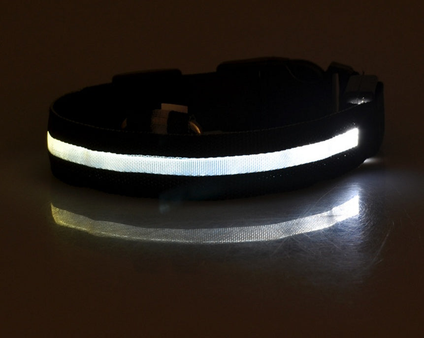 Nylon LED Pet Dog Luminous Collar - FittyPets