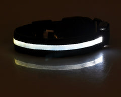 Nylon LED Pet Dog Luminous Collar - FittyPets