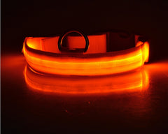 Nylon LED Pet Dog Luminous Collar - FittyPets