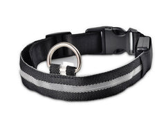 Nylon LED Pet Dog Luminous Collar - FittyPets
