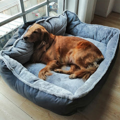 Relaxing Dog sofa - FittyPets