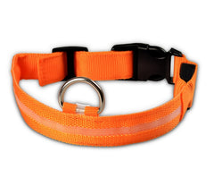 Nylon LED Pet Dog Luminous Collar - FittyPets