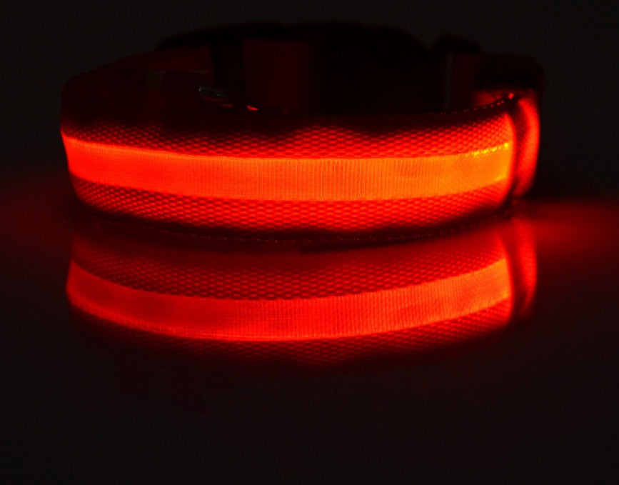 Nylon LED Pet Dog Luminous Collar - FittyPets