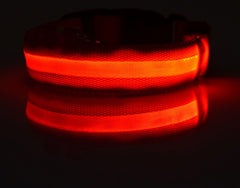 Nylon LED Pet Dog Luminous Collar - FittyPets