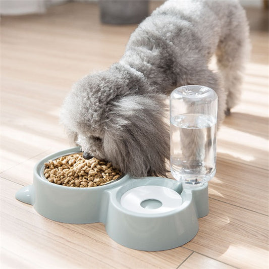 Dog bowl and feeder bottle - FittyPets