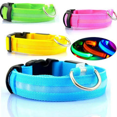 Nylon LED Pet Dog Luminous Collar - FittyPets