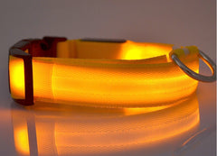 Nylon LED Pet Dog Luminous Collar - FittyPets