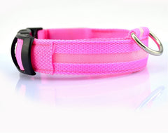 Nylon LED Pet Dog Luminous Collar - FittyPets