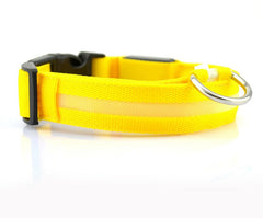 Nylon LED Pet Dog Luminous Collar - FittyPets