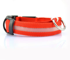 Nylon LED Pet Dog Luminous Collar - FittyPets
