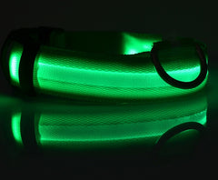Nylon LED Pet Dog Luminous Collar - FittyPets