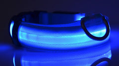 Nylon LED Pet Dog Luminous Collar - FittyPets