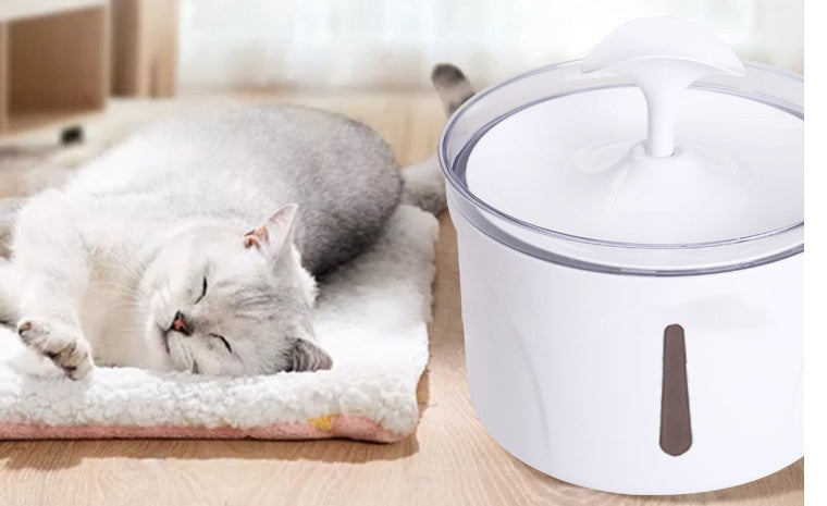 Pet Automatic Circulating Filter Water Dispenser - FittyPets
