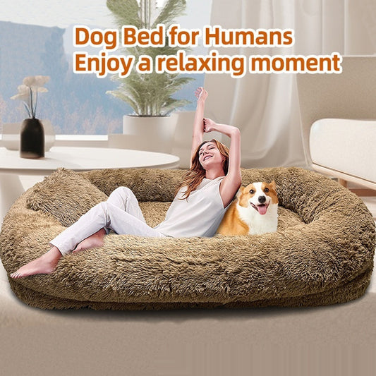 Queen Bed Pet Plush Sofa For Owner And Dog - FittyPets