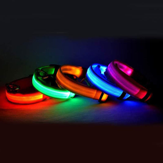 Nylon LED Pet Dog Luminous Collar - FittyPets