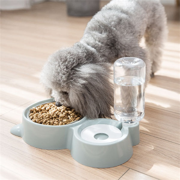 Dog bowl and feeder bottle - FittyPets