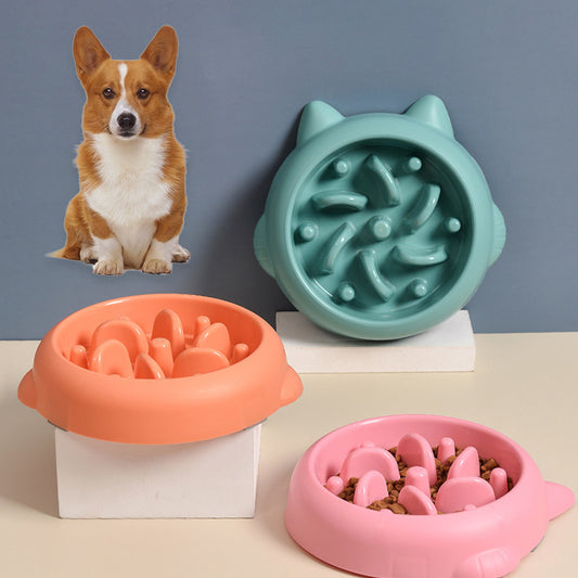 Pet Slow Feeder Bowls - FittyPets