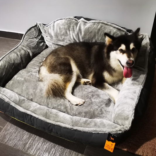 Relaxing Dog sofa