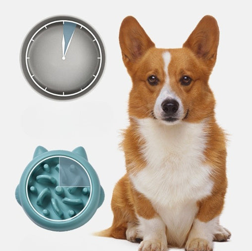 Pet Slow Feeder Bowls - FittyPets