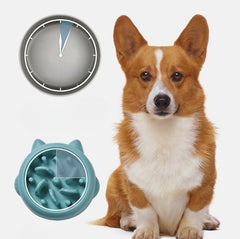 Pet Slow Feeder Bowls - FittyPets